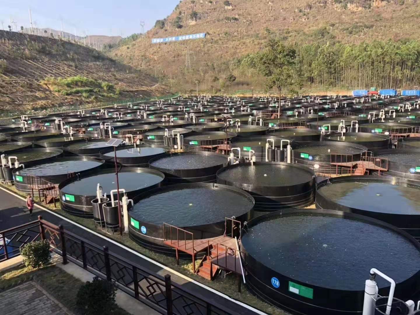 工厂养殖，绿色水产